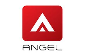 angel-real-estate-consultancy-logo